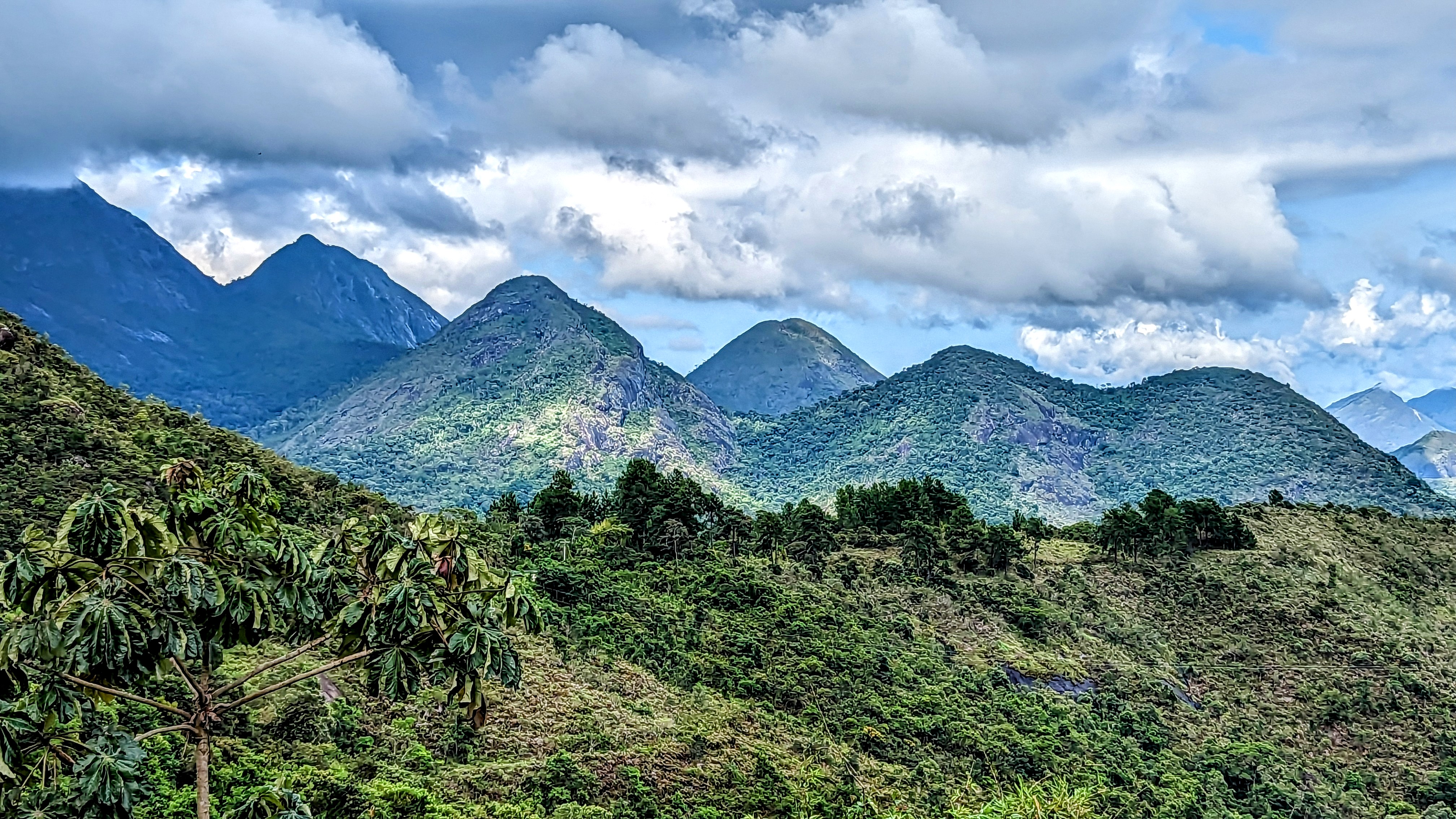 Dobrou chuť z Minas Gerais!